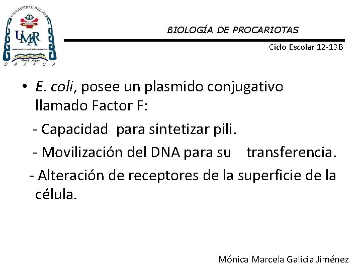 BIOLOGÍA DE PROCARIOTAS Ciclo Escolar 12 -13 B • E. coli, posee un plasmido
