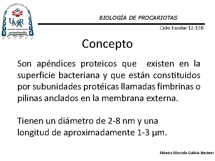 BIOLOGÍA DE PROCARIOTAS Ciclo Escolar 12 -13 B Concepto Son apéndices proteicos que existen