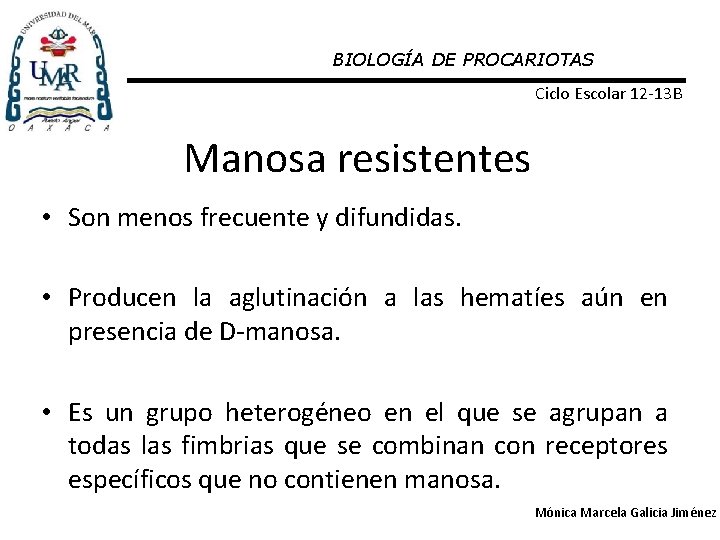 BIOLOGÍA DE PROCARIOTAS Ciclo Escolar 12 -13 B Manosa resistentes • Son menos frecuente