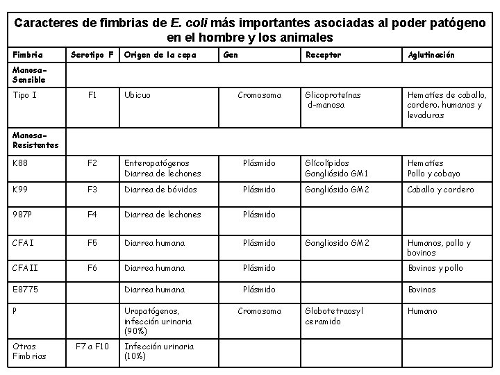 Caracteres de fimbrias de E. coli más importantes asociadas al poder patógeno en el