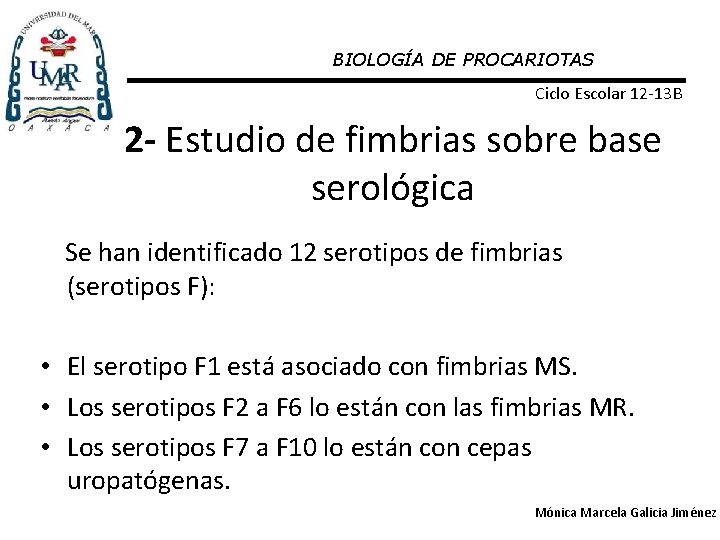 BIOLOGÍA DE PROCARIOTAS Ciclo Escolar 12 -13 B 2 - Estudio de fimbrias sobre