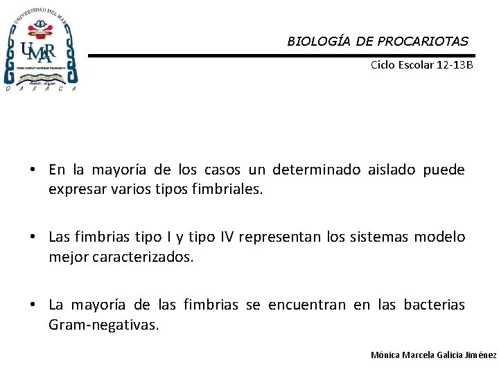 BIOLOGÍA DE PROCARIOTAS Ciclo Escolar 12 -13 B • En la mayoría de los
