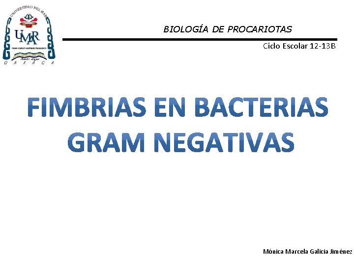 BIOLOGÍA DE PROCARIOTAS Ciclo Escolar 12 -13 B Mónica Marcela Galicia Jiménez 