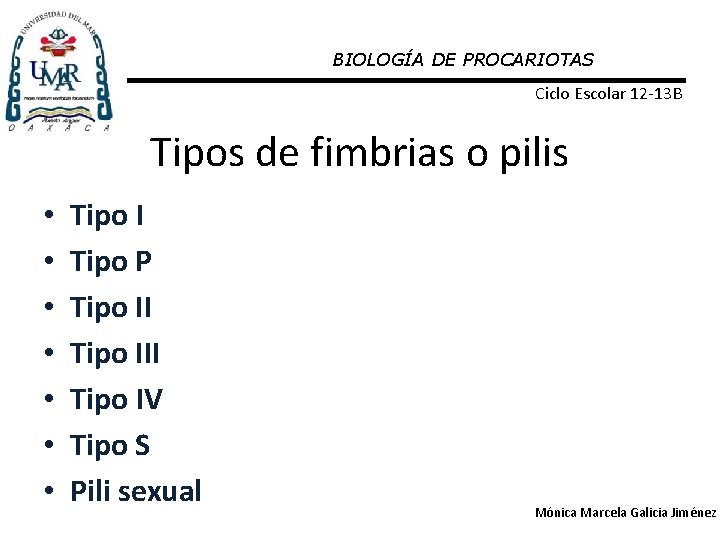 BIOLOGÍA DE PROCARIOTAS Ciclo Escolar 12 -13 B Tipos de fimbrias o pilis •