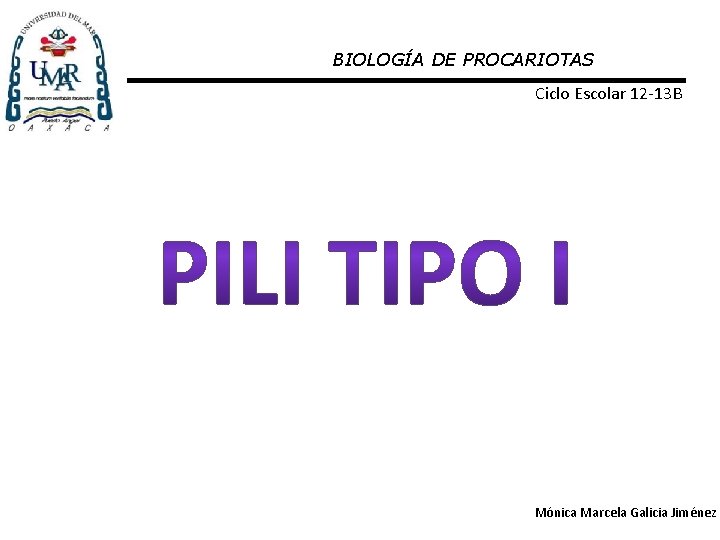 BIOLOGÍA DE PROCARIOTAS Ciclo Escolar 12 -13 B Mónica Marcela Galicia Jiménez 