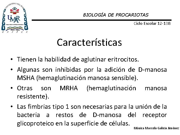 BIOLOGÍA DE PROCARIOTAS Ciclo Escolar 12 -13 B Características • Tienen la habilidad de