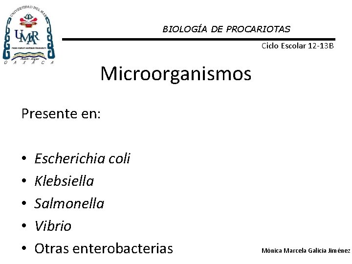 BIOLOGÍA DE PROCARIOTAS Ciclo Escolar 12 -13 B Microorganismos Presente en: • • •