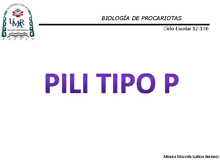 BIOLOGÍA DE PROCARIOTAS Ciclo Escolar 12 -13 B Mónica Marcela Galicia Jiménez 