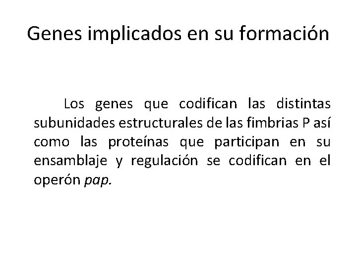 Genes implicados en su formación Los genes que codifican las distintas subunidades estructurales de