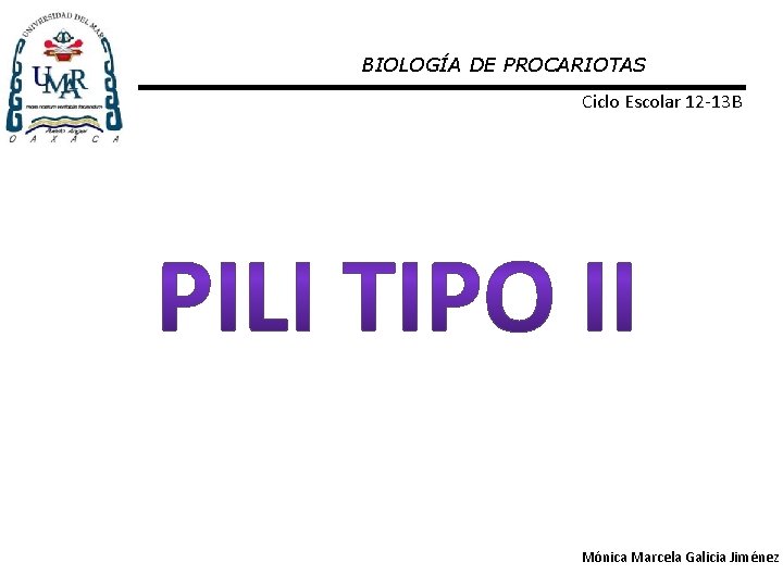 BIOLOGÍA DE PROCARIOTAS Ciclo Escolar 12 -13 B Mónica Marcela Galicia Jiménez 