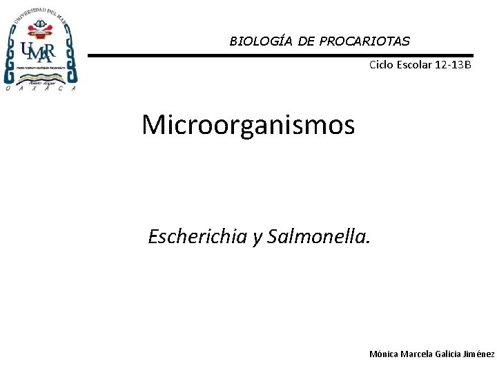 BIOLOGÍA DE PROCARIOTAS Ciclo Escolar 12 -13 B Microorganismos Escherichia y Salmonella. Mónica Marcela