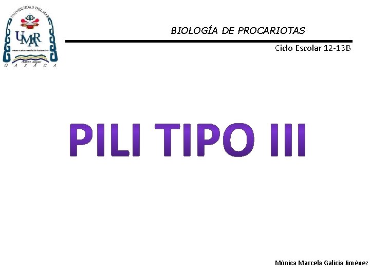 BIOLOGÍA DE PROCARIOTAS Ciclo Escolar 12 -13 B Mónica Marcela Galicia Jiménez 
