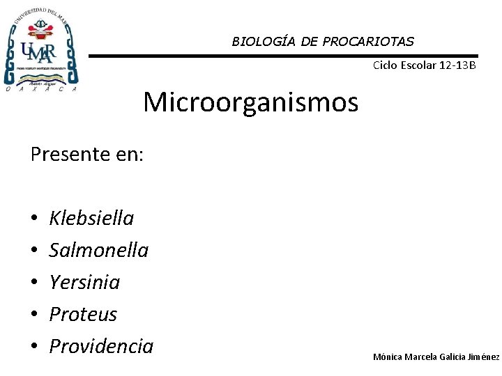 BIOLOGÍA DE PROCARIOTAS Ciclo Escolar 12 -13 B Microorganismos Presente en: • • •