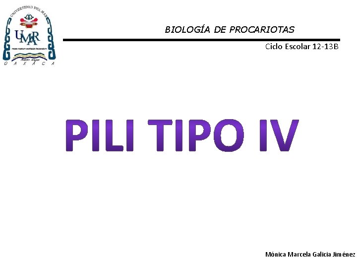 BIOLOGÍA DE PROCARIOTAS Ciclo Escolar 12 -13 B Mónica Marcela Galicia Jiménez 