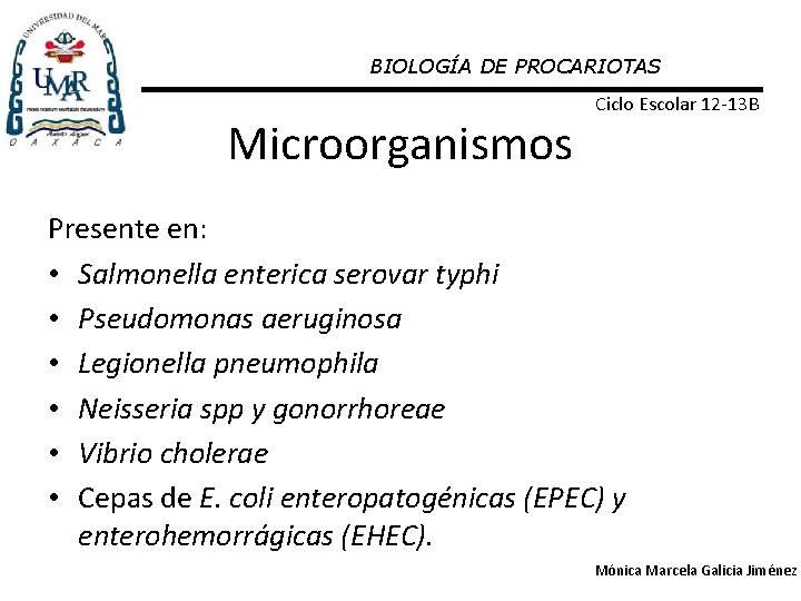 BIOLOGÍA DE PROCARIOTAS Microorganismos Ciclo Escolar 12 -13 B Presente en: • Salmonella enterica