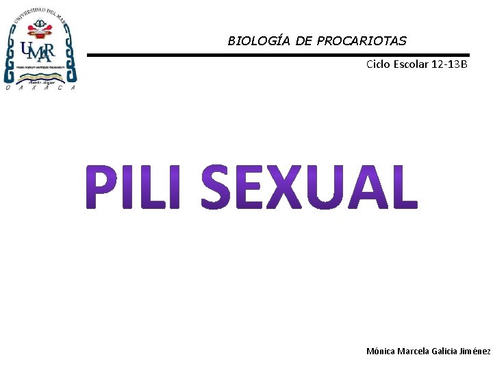 BIOLOGÍA DE PROCARIOTAS Ciclo Escolar 12 -13 B Mónica Marcela Galicia Jiménez 