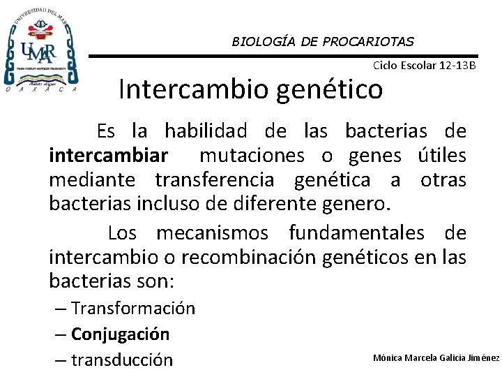 BIOLOGÍA DE PROCARIOTAS Ciclo Escolar 12 -13 B Intercambio genético Es la habilidad de