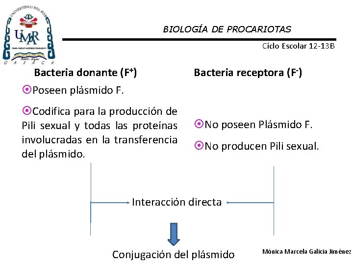BIOLOGÍA DE PROCARIOTAS Ciclo Escolar 12 -13 B Bacteria donante (F+) Bacteria receptora (F-)