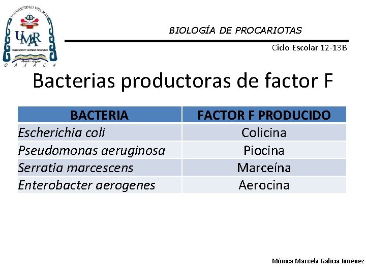 BIOLOGÍA DE PROCARIOTAS Ciclo Escolar 12 -13 B Bacterias productoras de factor F BACTERIA