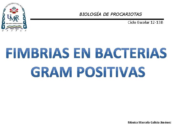 BIOLOGÍA DE PROCARIOTAS Ciclo Escolar 12 -13 B Mónica Marcela Galicia Jiménez 
