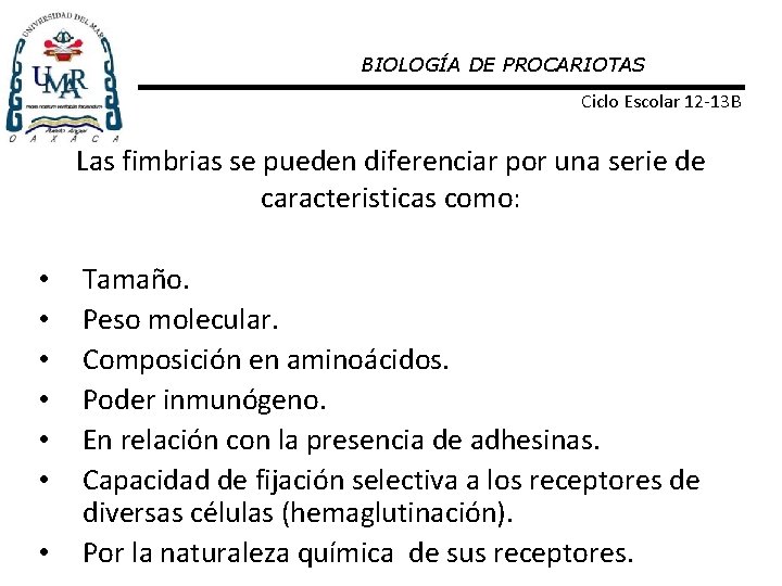 BIOLOGÍA DE PROCARIOTAS Ciclo Escolar 12 -13 B Las fimbrias se pueden diferenciar por