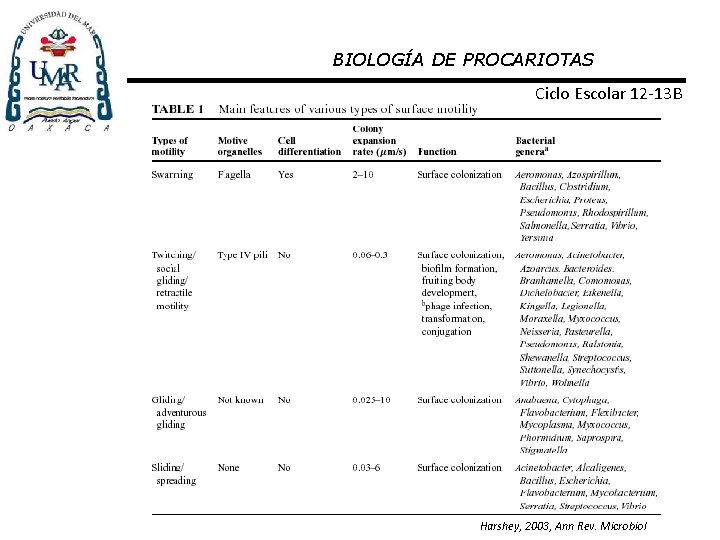 BIOLOGÍA DE PROCARIOTAS Ciclo Escolar 12 -13 B Harshey, 2003, Ann Rev. Microbiol 