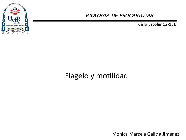 BIOLOGÍA DE PROCARIOTAS Ciclo Escolar 12 -13 B Flagelo y motilidad Mónica Marcela Galicia