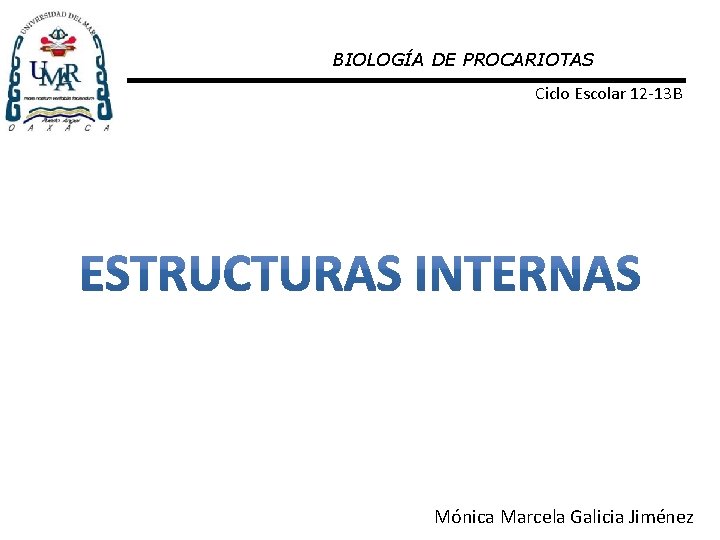 BIOLOGÍA DE PROCARIOTAS Ciclo Escolar 12 -13 B Mónica Marcela Galicia Jiménez 