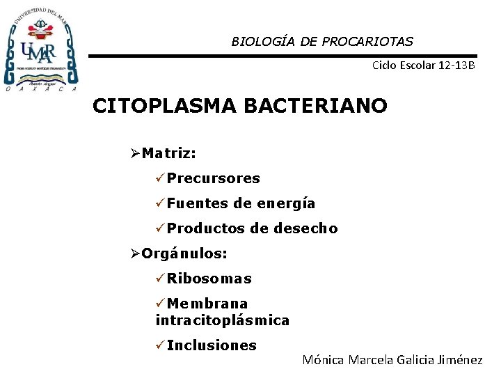 BIOLOGÍA DE PROCARIOTAS Ciclo Escolar 12 -13 B CITOPLASMA BACTERIANO ØMatriz: üPrecursores üFuentes de
