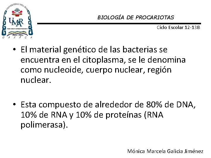 BIOLOGÍA DE PROCARIOTAS Ciclo Escolar 12 -13 B • El material genético de las