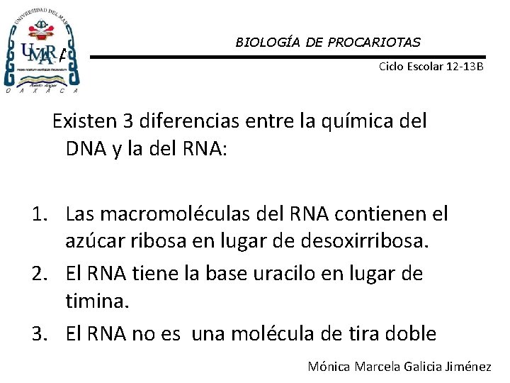 RNA: BIOLOGÍA DE PROCARIOTAS Ciclo Escolar 12 -13 B Existen 3 diferencias entre la