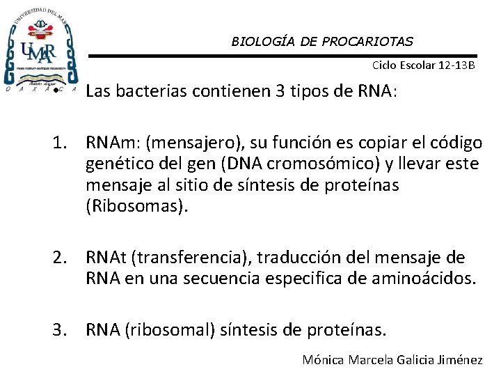 BIOLOGÍA DE PROCARIOTAS Ciclo Escolar 12 -13 B • Las bacterias contienen 3 tipos