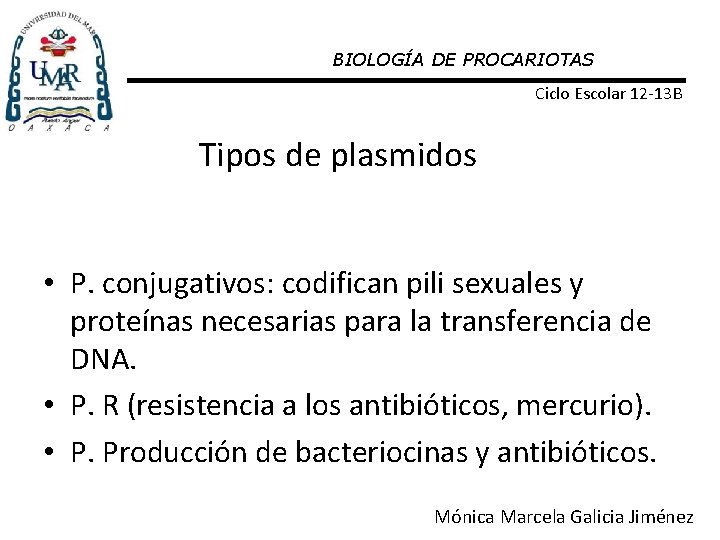 BIOLOGÍA DE PROCARIOTAS Ciclo Escolar 12 -13 B Tipos de plasmidos • P. conjugativos: