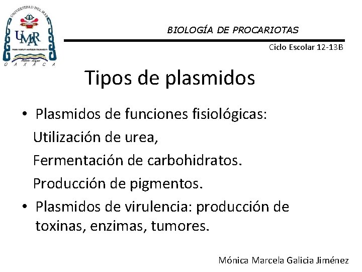 BIOLOGÍA DE PROCARIOTAS Ciclo Escolar 12 -13 B Tipos de plasmidos • Plasmidos de