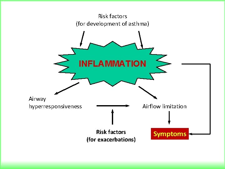 Risk factors (for development of asthma) INFLAMMATION Airway hyperresponsiveness Airflow limitation Risk factors (for