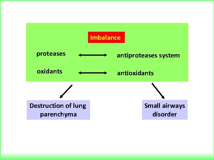 Imbalance proteases antiproteases system oxidants antioxidants Destruction of lung parenchyma Small airways disorder 