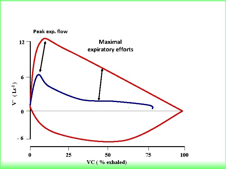 Peak exp. flow Maximal expiratory efforts 12 V´ ( l. s-1 ) 6 0