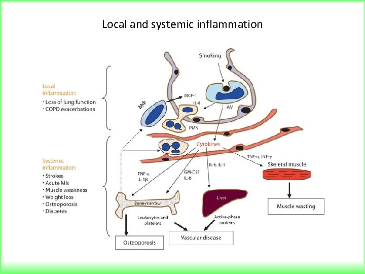 Local and systemic inflammation 