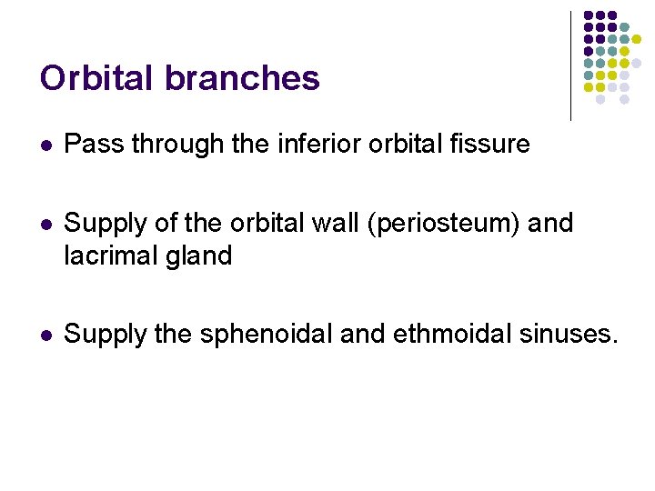 Orbital branches l Pass through the inferior orbital fissure l Supply of the orbital