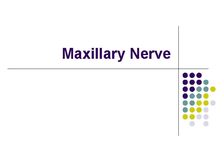 Maxillary Nerve 