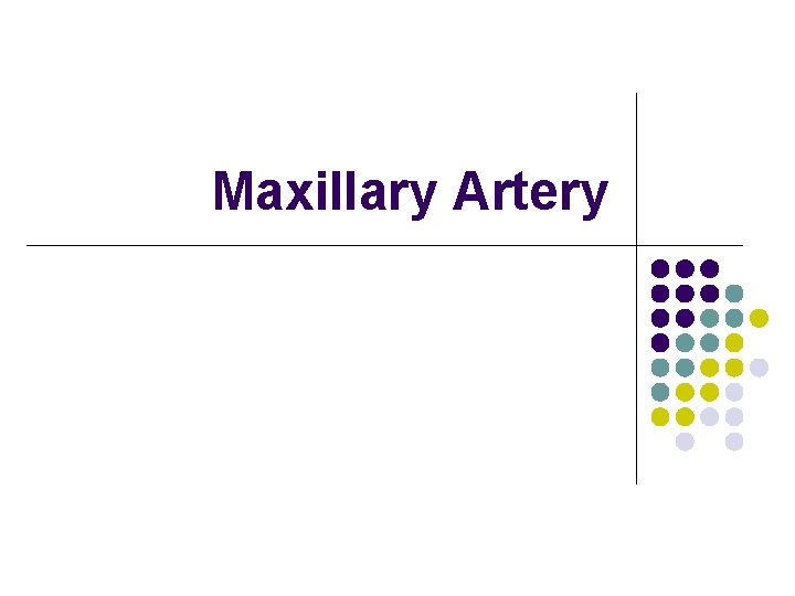 Maxillary Artery 
