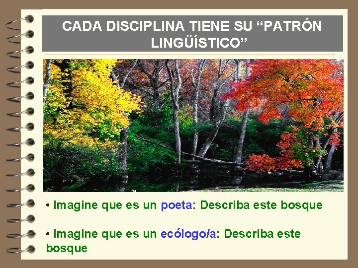 CADA DISCIPLINA TIENE SU “PATRÓN LINGÜÍSTICO” • Imagine que es un poeta: Describa este