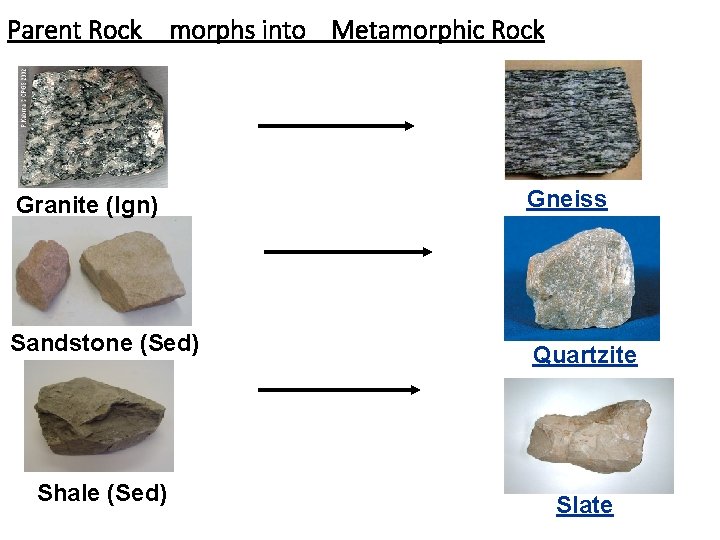 Parent Rock morphs into Metamorphic Rock Granite (Ign) Gneiss Sandstone (Sed) Quartzite Shale (Sed)