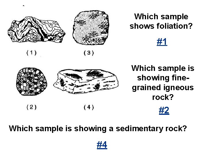 Which sample shows foliation? #1 Which sample is showing finegrained igneous rock? #2 Which