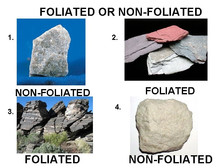 FOLIATED OR NON-FOLIATED 1. 2. FOLIATED NON-FOLIATED 4. 3. FOLIATED NON-FOLIATED 