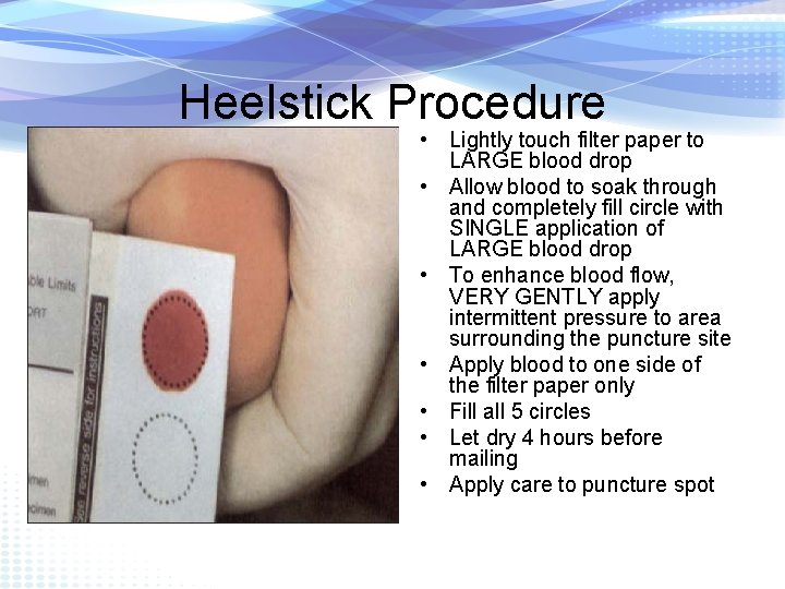 Heelstick Procedure • Lightly touch filter paper to LARGE blood drop • Allow blood