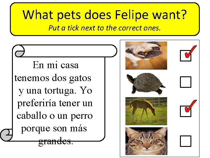 What pets does Felipe want? Put a tick next to the correct ones. En
