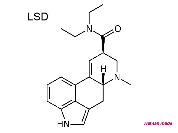 LSD Human made 