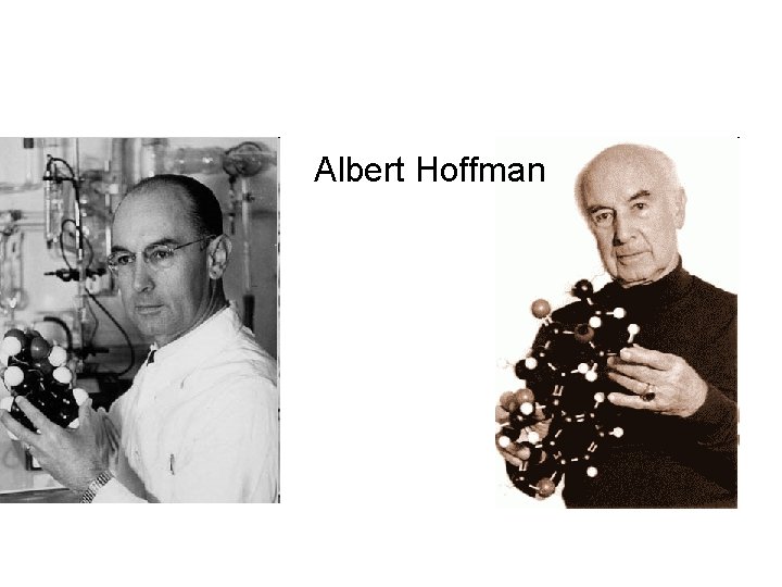 Albert Hoffman 