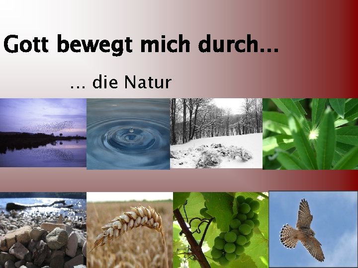 Gott bewegt mich durch. . . die Natur 